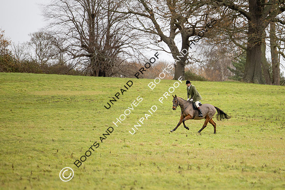 Ladies Day