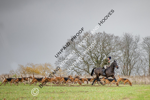 Ladies Day