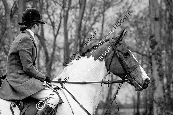 Ladies Day
