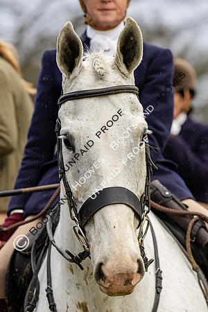 Ladies Day
