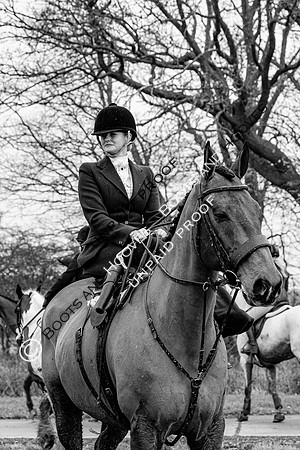 Ladies Day