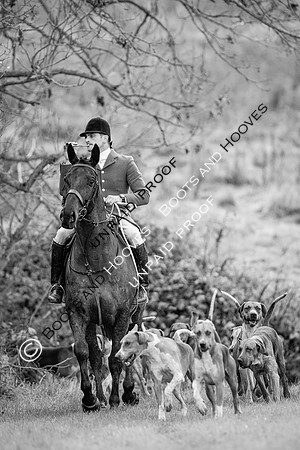 Ladies Day