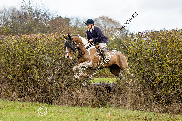 Ladies Day