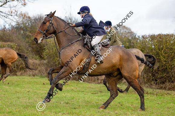 Ladies Day