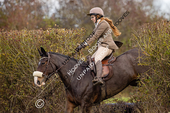 Ladies Day