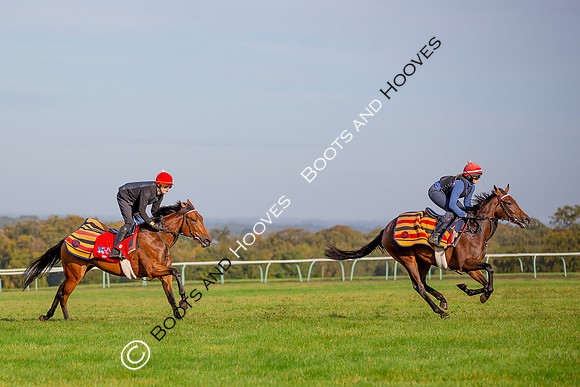 Newmarket