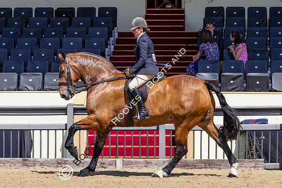 Royal Windsor Horse Show