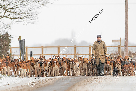 Hound Exercise