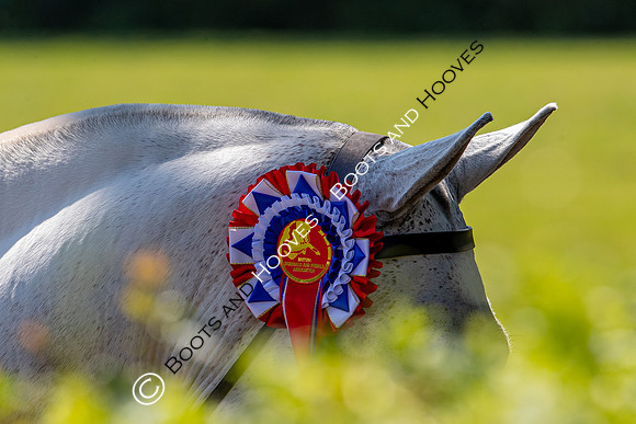 The Prenetics Royal International Horse Show