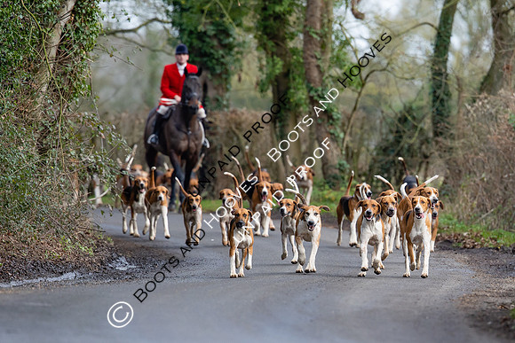 Boxing Day Meet