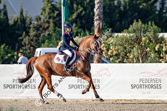 FEI Junior European Championship Young Riders, Juniors & Childre