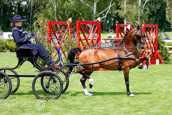 The Prenetics Royal International Horse Show
