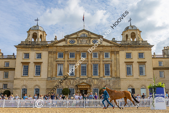 Badminton Horse Trials