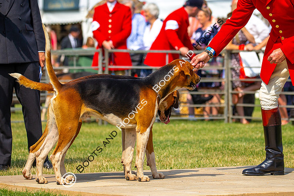 Festival of Hunting