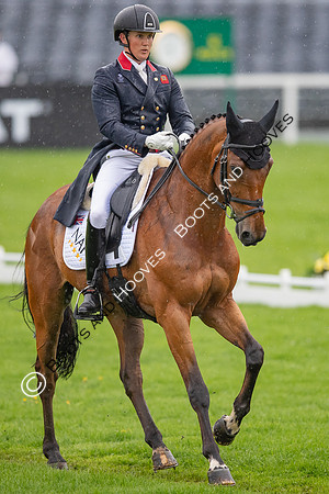 Badminton Horse Trials presented by Mars Equestrian