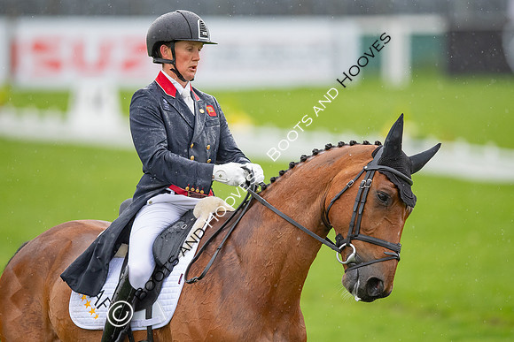 Badminton Horse Trials presented by Mars Equestrian