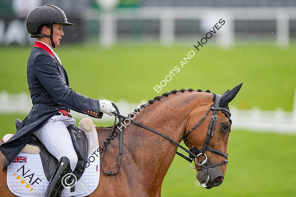 Badminton Horse Trials presented by Mars Equestrian