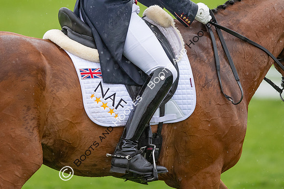 Badminton Horse Trials presented by Mars Equestrian