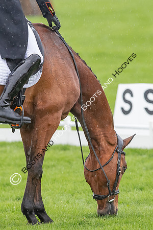 Badminton Horse Trials presented by Mars Equestrian