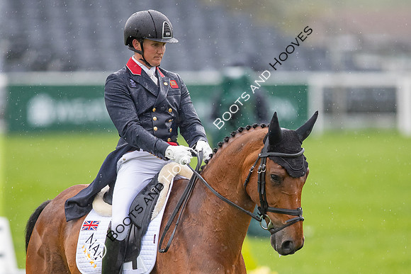 Badminton Horse Trials presented by Mars Equestrian