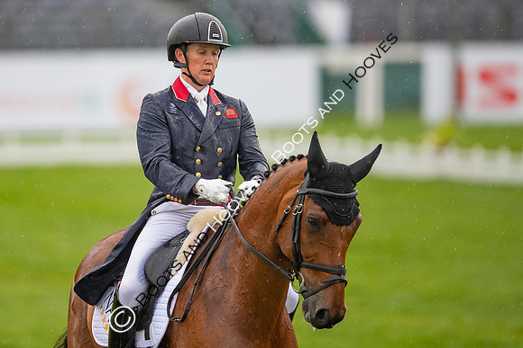 Badminton Horse Trials presented by Mars Equestrian