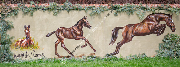 Badminton Horse Trials presented by Mars Equestrian