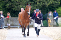 Badminton Horse Trials presented by Mars Equestrian