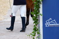 Badminton Horse Trials presented by Mars Equestrian