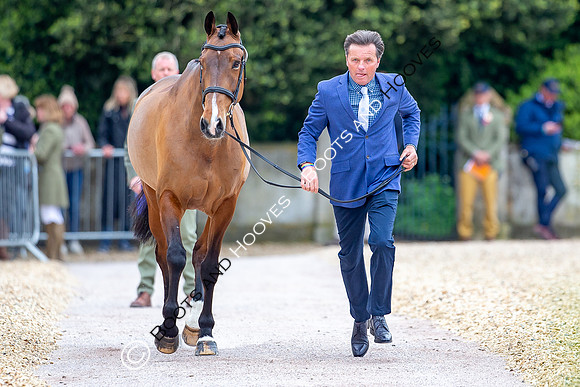 Badminton Horse Trials presented by Mars Equestrian