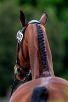 Badminton Horse Trials presented by Mars Equestrian