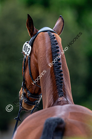 Badminton Horse Trials presented by Mars Equestrian