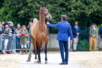 Badminton Horse Trials presented by Mars Equestrian