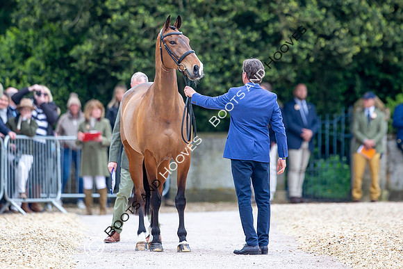 Badminton Horse Trials presented by Mars Equestrian