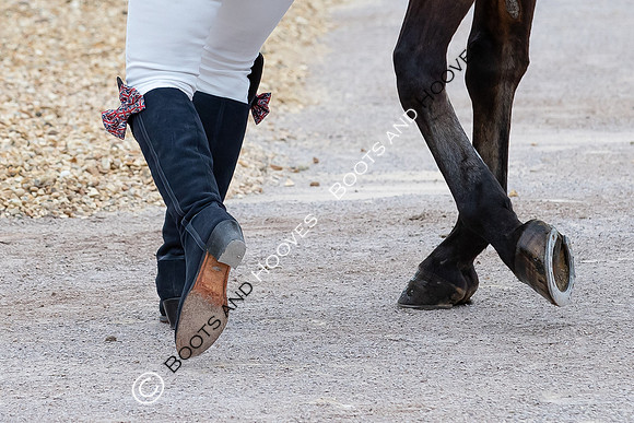 Badminton Horse Trials presented by Mars Equestrian