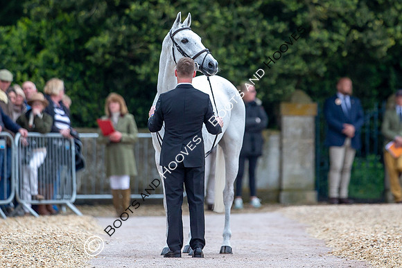 Badminton Horse Trials presented by Mars Equestrian