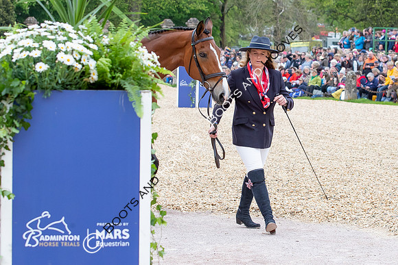 Badminton Horse Trials presented by Mars Equestrian