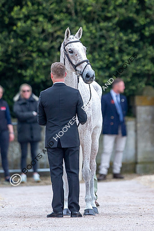 Badminton Horse Trials presented by Mars Equestrian