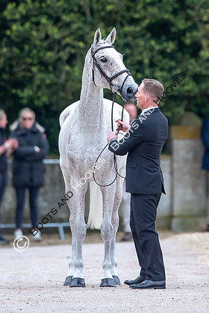 Badminton Horse Trials presented by Mars Equestrian