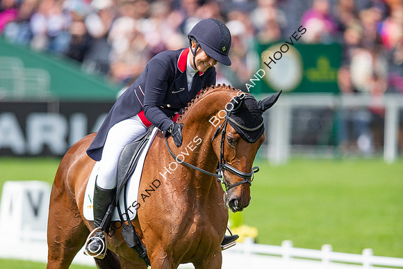 Badminton Horse Trials presented by Mars Equestrian