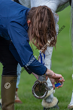 Badminton Horse Trials presented by Mars Equestrian