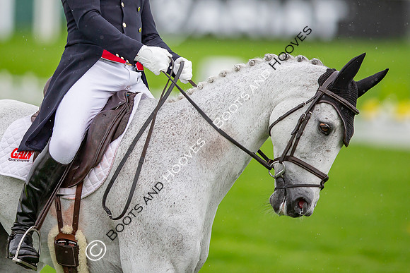 Badminton Horse Trials presented by Mars Equestrian