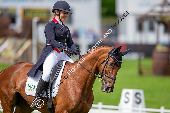 Badminton Horse Trials presented by Mars Equestrian
