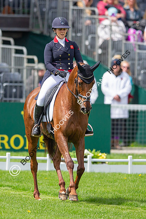 Badminton Horse Trials presented by Mars Equestrian