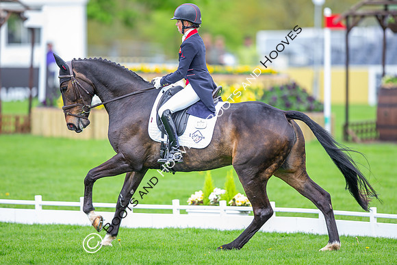 Badminton Horse Trials presented by Mars Equestrian