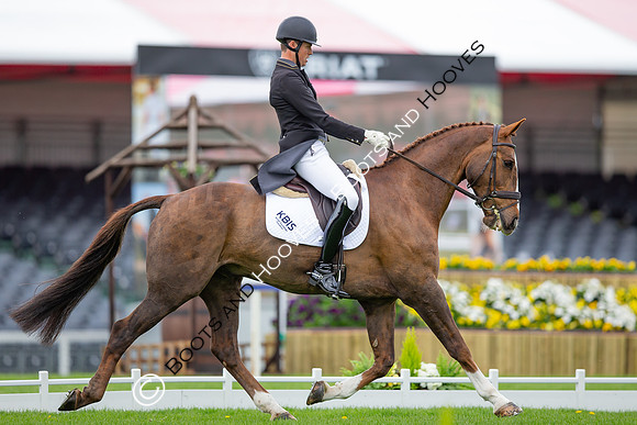 Badminton Horse Trials presented by Mars Equestrian