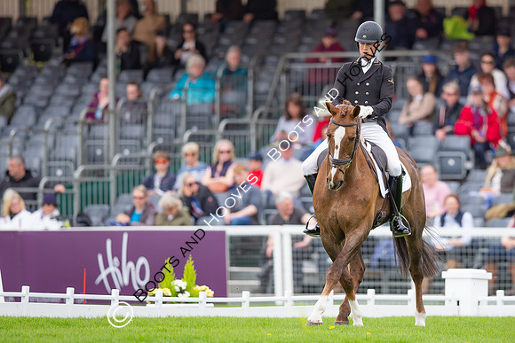 Badminton Horse Trials presented by Mars Equestrian