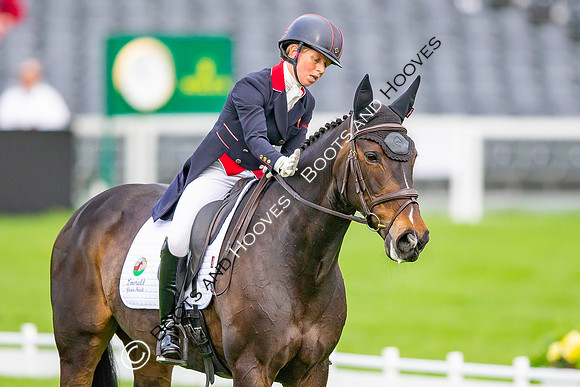 Badminton Horse Trials presented by Mars Equestrian