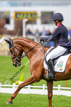 Badminton Horse Trials presented by Mars Equestrian