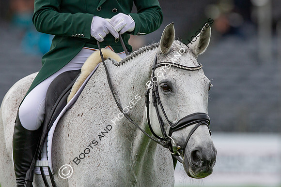 Badminton Horse Trials presented by Mars Equestrian