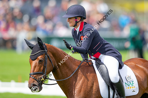 Badminton Horse Trials presented by Mars Equestrian